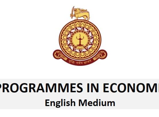 Study Programmes in Economics – 2023