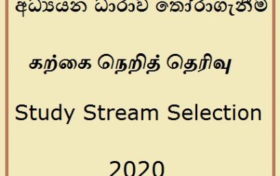 Study Stream Selection – 2020
